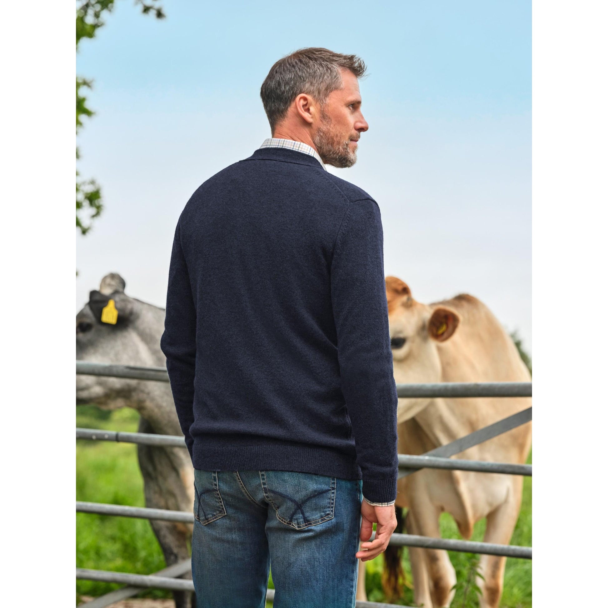 Navy - Back - WoolOvers Mens Lambswool V Neck Cardigan