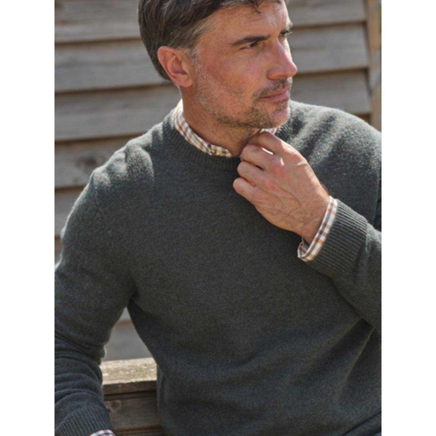 Pine - Back - WoolOvers Mens Lambswool Crew Neck Jumper