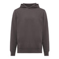 Anthracite - Back - Iqoniq Unisex Adult Yengo Recycled Cotton Side Pocket Hoodie