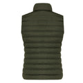 Khaki Green - Back - Iqoniq Womens-Ladies Meru Recycled Polyester Body Warmer
