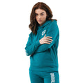 Verdigris - Side - Iqoniq Unisex Adult Jasper Recycled Cotton Hoodie