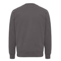 Anthracite - Back - Iqoniq Unisex Adult Kruger Recycled Cotton Crew Neck Relaxed Fit Sweatshirt