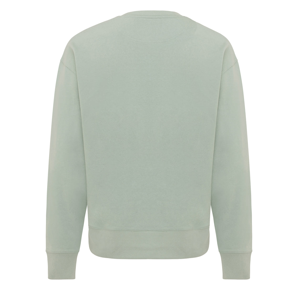 Iceberg Green - Back - Iqoniq Unisex Adult Kruger Recycled Cotton Crew Neck Relaxed Fit Sweatshirt