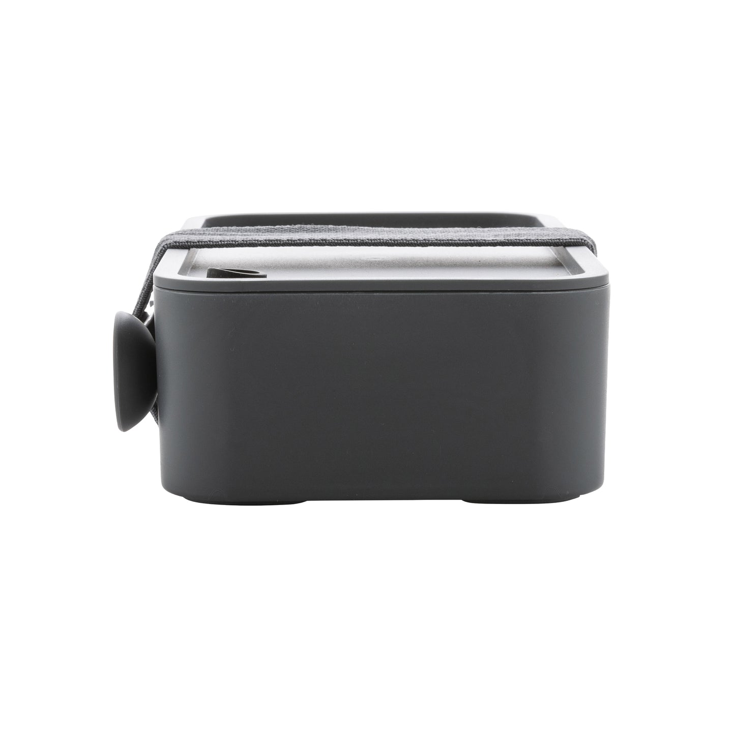 Anthracite - Pack Shot - XD Collection Polypropylene 0.8L Lunch Box