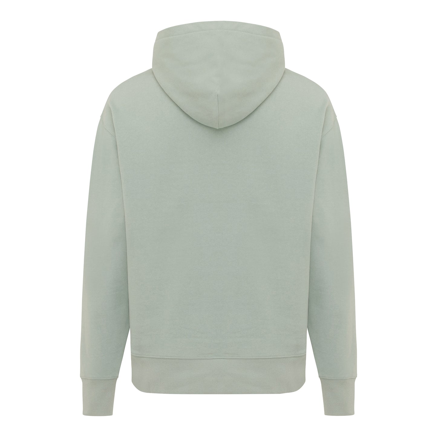 Green Iceberg - Back - Iqoniq Unisex Adult Yoho Recycled Cotton Relaxed Fit Hoodie