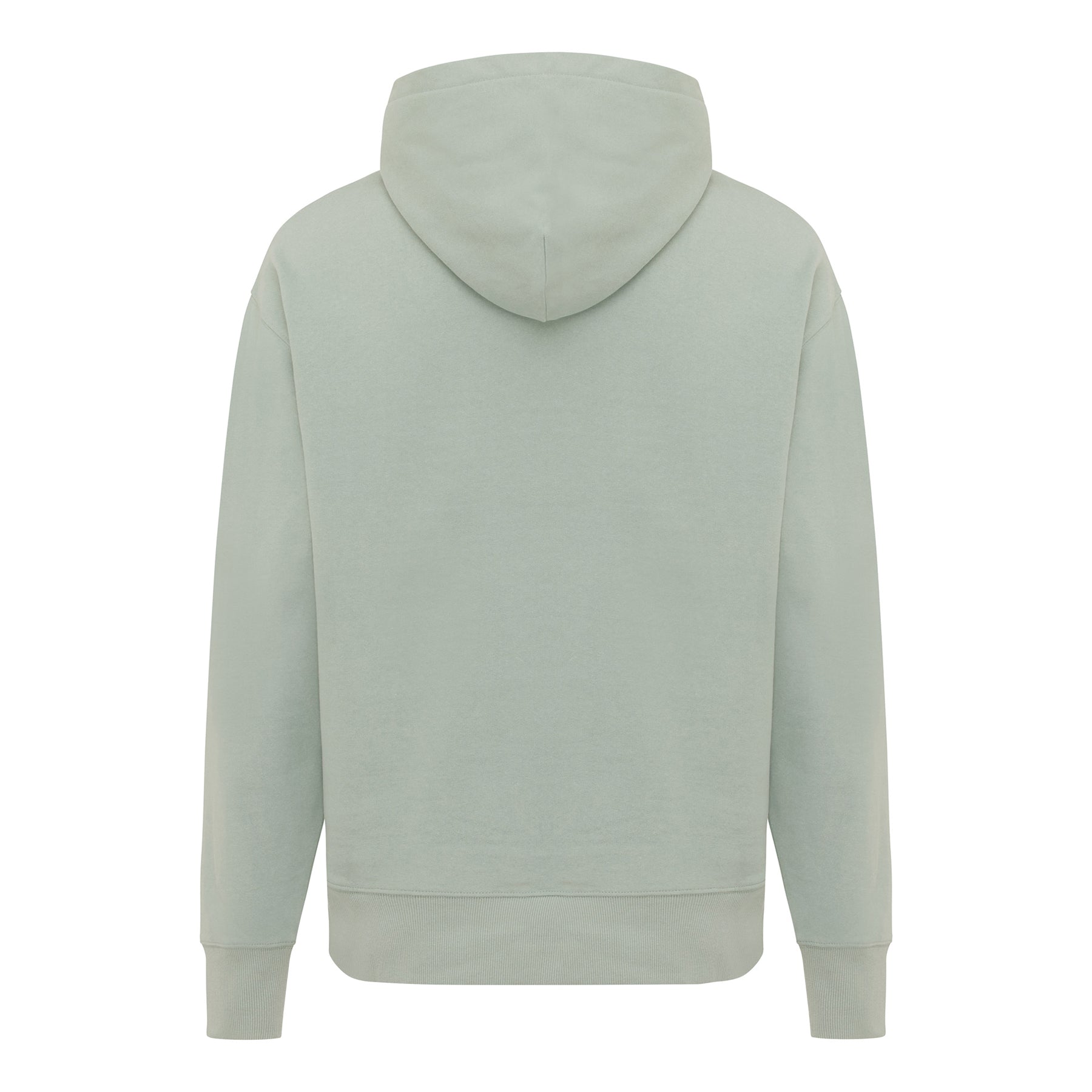 Green Iceberg - Back - Iqoniq Unisex Adult Yoho Recycled Cotton Relaxed Fit Hoodie