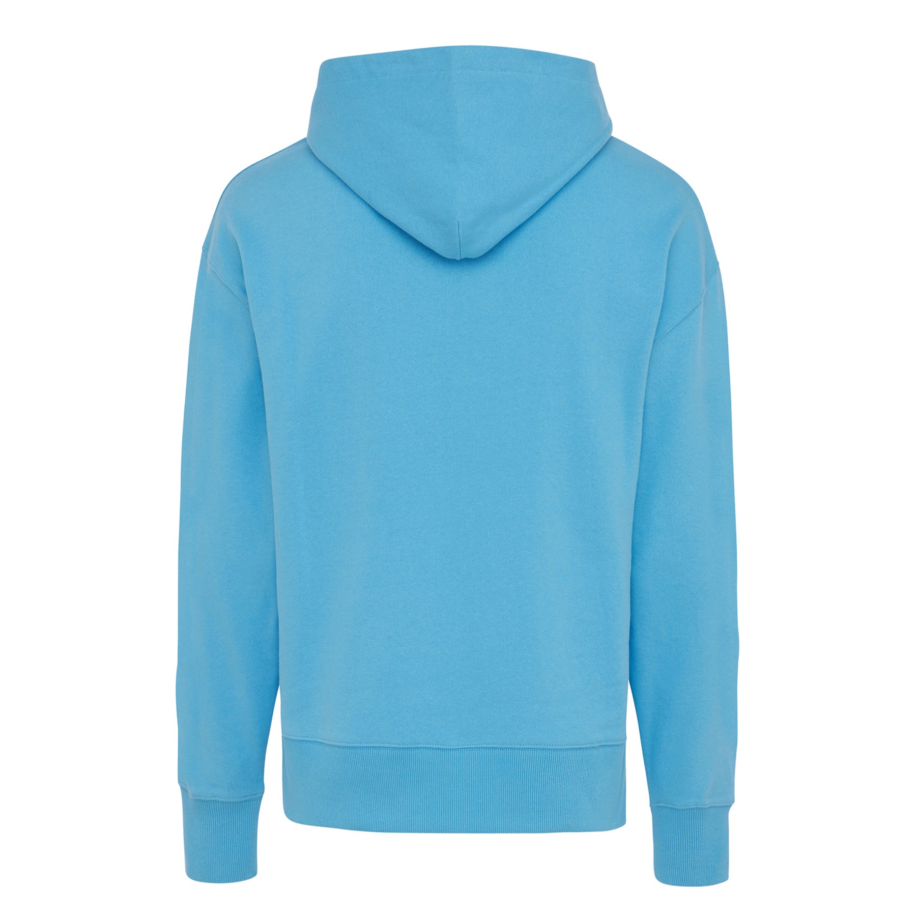 Tranquil Blue - Back - Iqoniq Unisex Adult Yoho Recycled Cotton Relaxed Fit Hoodie