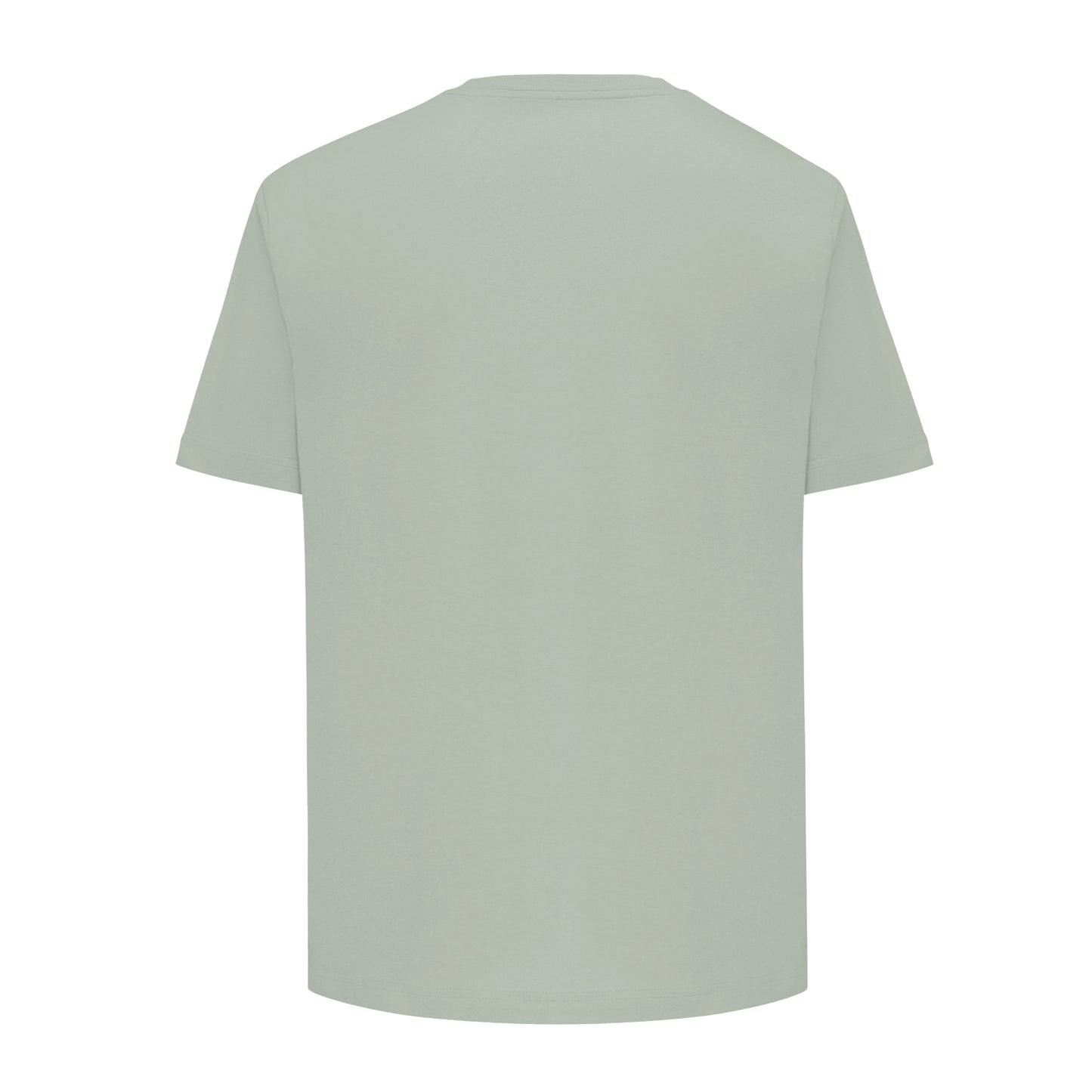 Iceberg Green - Back - Iqoniq Unisex Adult Teide Recycled Cotton T-Shirt