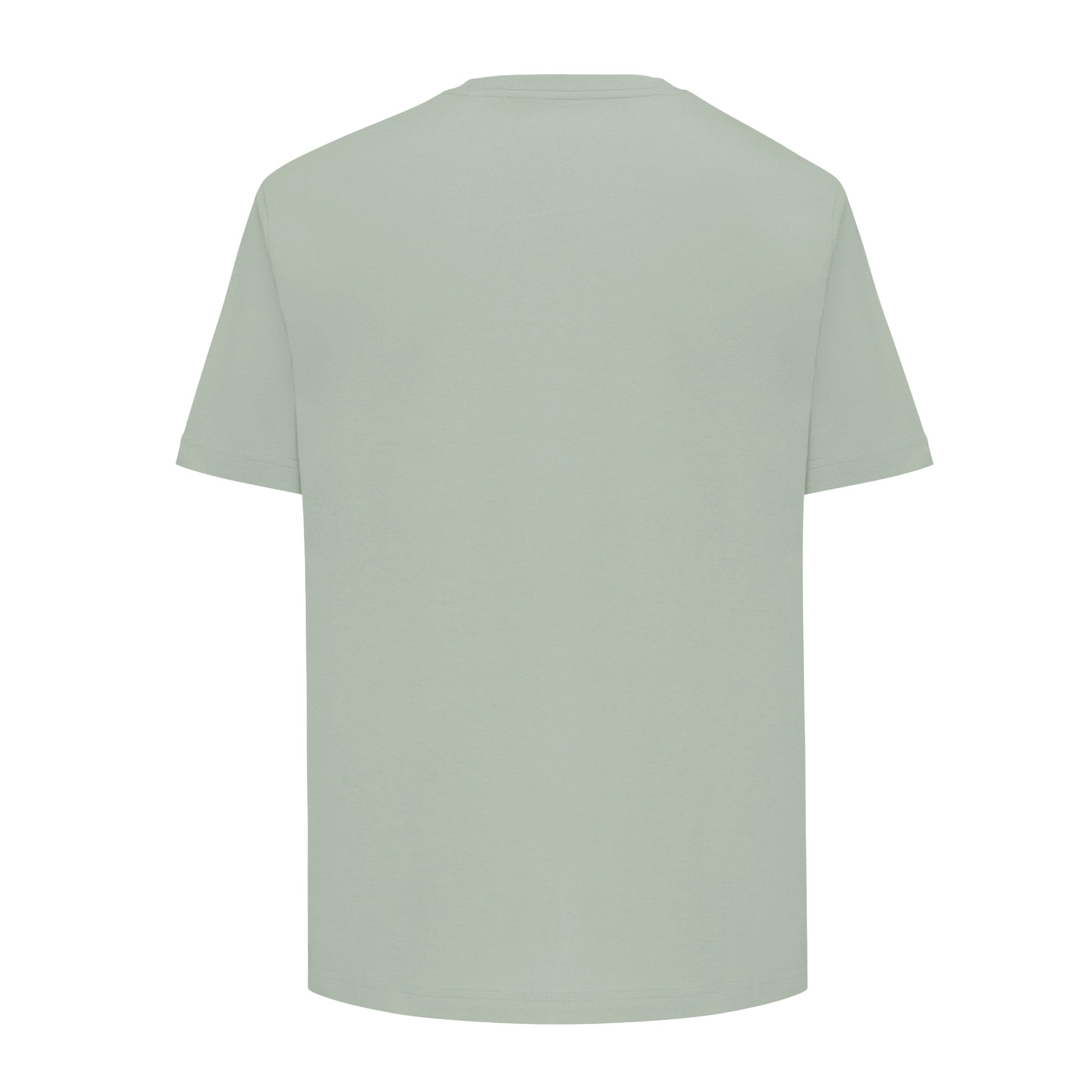 Iceberg Green - Back - Iqoniq Unisex Adult Teide Recycled Cotton T-Shirt