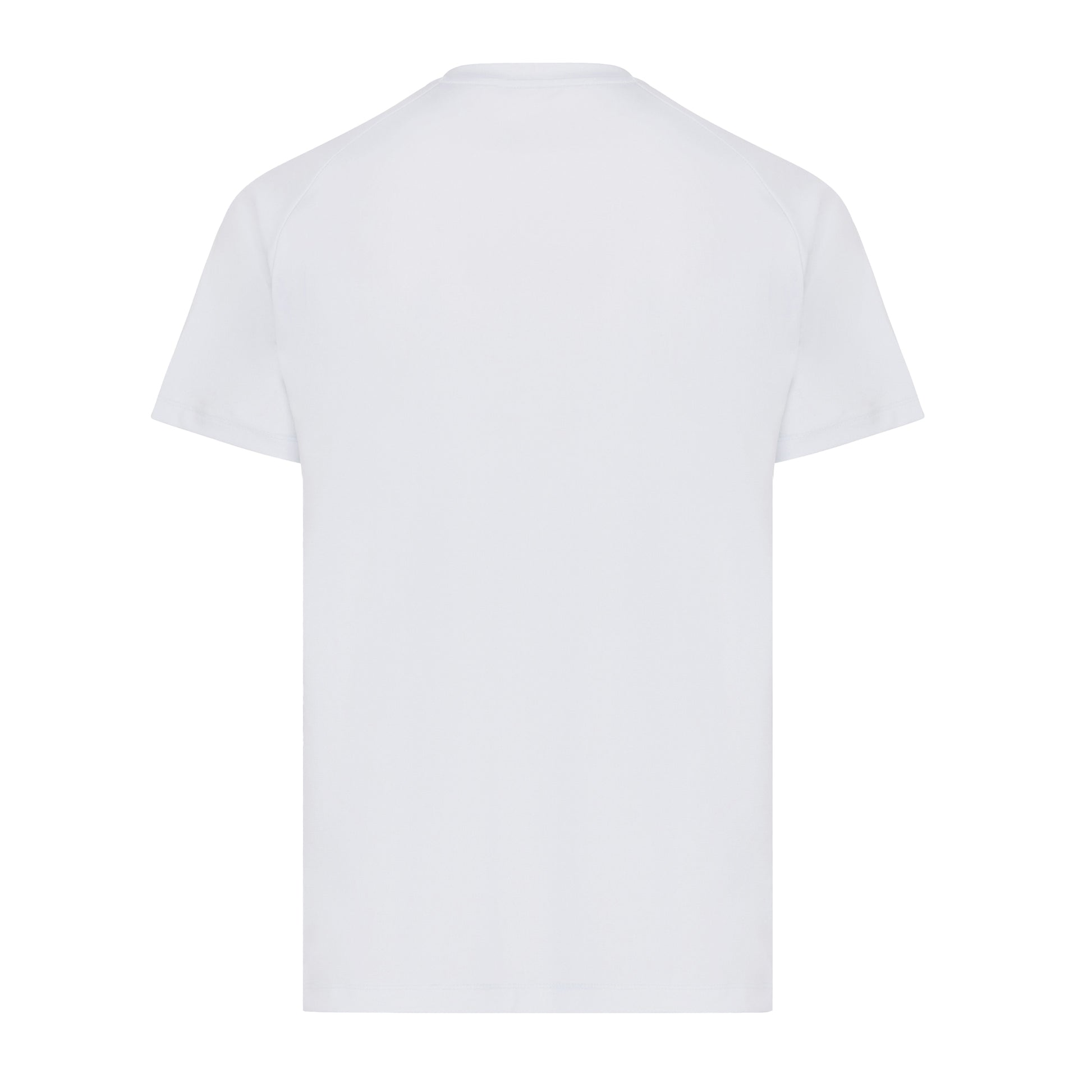 Light Grey - Back - Iqoniq Unisex Adult Tikal Recycled Polyester Quick Dry Sport T-Shirt