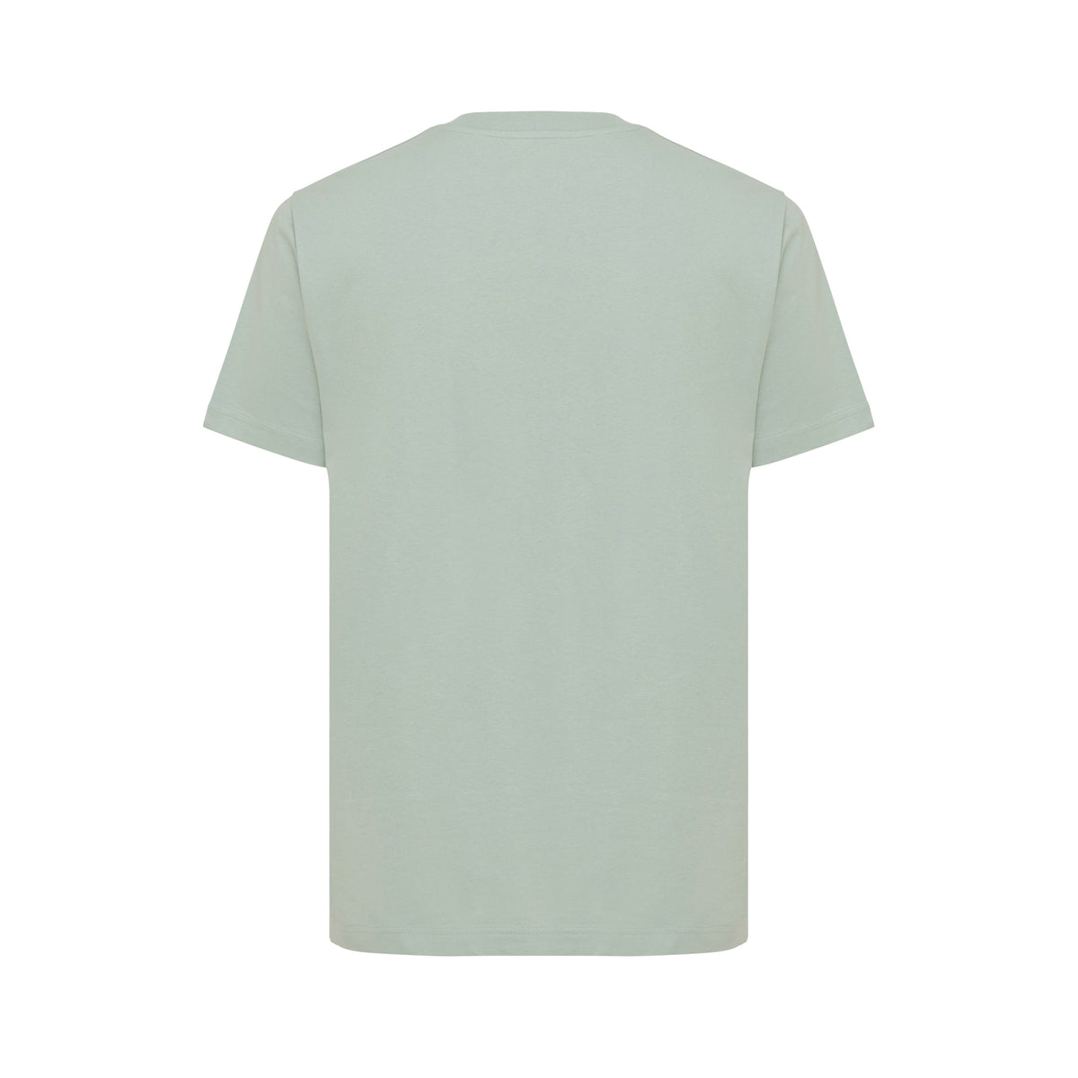 Iceberg Green - Back - Iqoniq Unisex Adult Kakadu Recycled Cotton Relaxed Fit T-Shirt