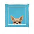 Front - Inquisitive Creatures Chihuahua Filled Cushion