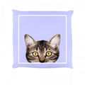 Front - Inquisitive Creatures Kitten Cushion