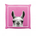 Front - Inquisitive Creatures Llama Filled Cushion
