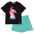 Front - Fortnite Boys Glow In The Dark Llama Pyjama Set