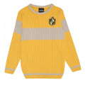 Front - Harry Potter Boys Quidditch Hufflepuff Knitted Jumper