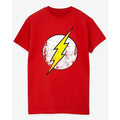Front - The Flash Womens/Ladies Distressed Logo Fitted T-Shirt