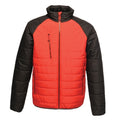 Front - Regatta Professional Mens Glacial Warmloft Thermal Jacket