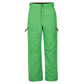 Front - Dare 2B Childrens/Kids Spur On Waterproof Ski Trousers