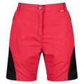 Front - Regatta Womens/Ladies Sungari II Walking Shorts