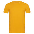 Indian Yellow - Front - Stedman Mens James Organic Tee