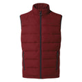Firth Red-Platinum-Black - Front - Craghoppers Mens Eldrick Downlike Vest