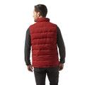 Firth Red-Platinum-Black - Back - Craghoppers Mens Eldrick Downlike Vest