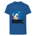 Blue - Front - Sonic The Hedgehog Unisex Adult Classic Head T-Shirt