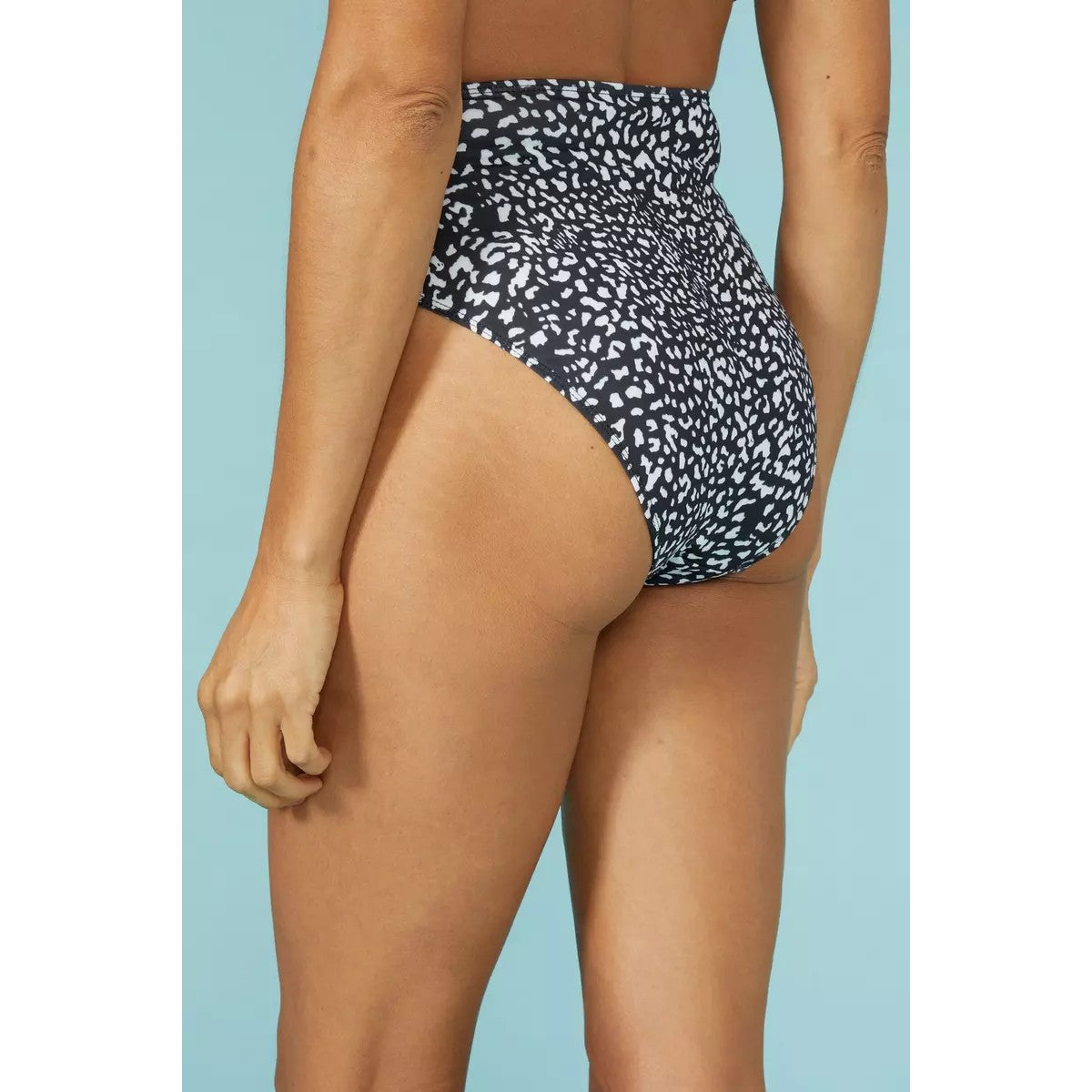 Monochrome - Back - Debenhams Womens-Ladies Animal Print High Waist Bikini Bottoms