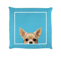 Sky Blue - Front - Inquisitive Creatures Chihuahua Filled Cushion