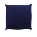 Navy-White-Brown - Back - Inquisitive Creatures Tiger Cushion