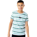 Moss-White - Front - Hype Boys Striped T-Shirt
