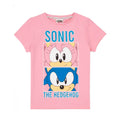 Pink-Grey - Back - Sonic The Hedgehog Girls Pyjama Set