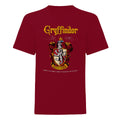 Red - Front - Harry Potter Girls Gryffindor Crest T-Shirt