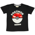Black - Lifestyle - Pokemon Boys Catch Em All Pokeball T-Shirt