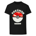 Black - Front - Pokemon Boys Catch Em All Pokeball T-Shirt