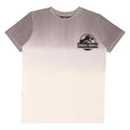 Grey-White - Front - Jurassic World Childrens-Kids Dinosaur Observation Committee Ombre T-Shirt