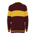 Burgundy - Back - Harry Potter Boys Quidditch Gryffindor Knitted Jumper