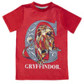Red-Heather Grey - Side - Harry Potter Mens Gryffindor Pyjama Set