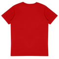 Red - Back - The Flash Womens-Ladies Distressed Logo Boyfriend T-Shirt