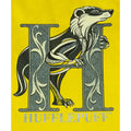 Black-Yellow - Back - Harry Potter Boys Hufflepuff Pyjama Set