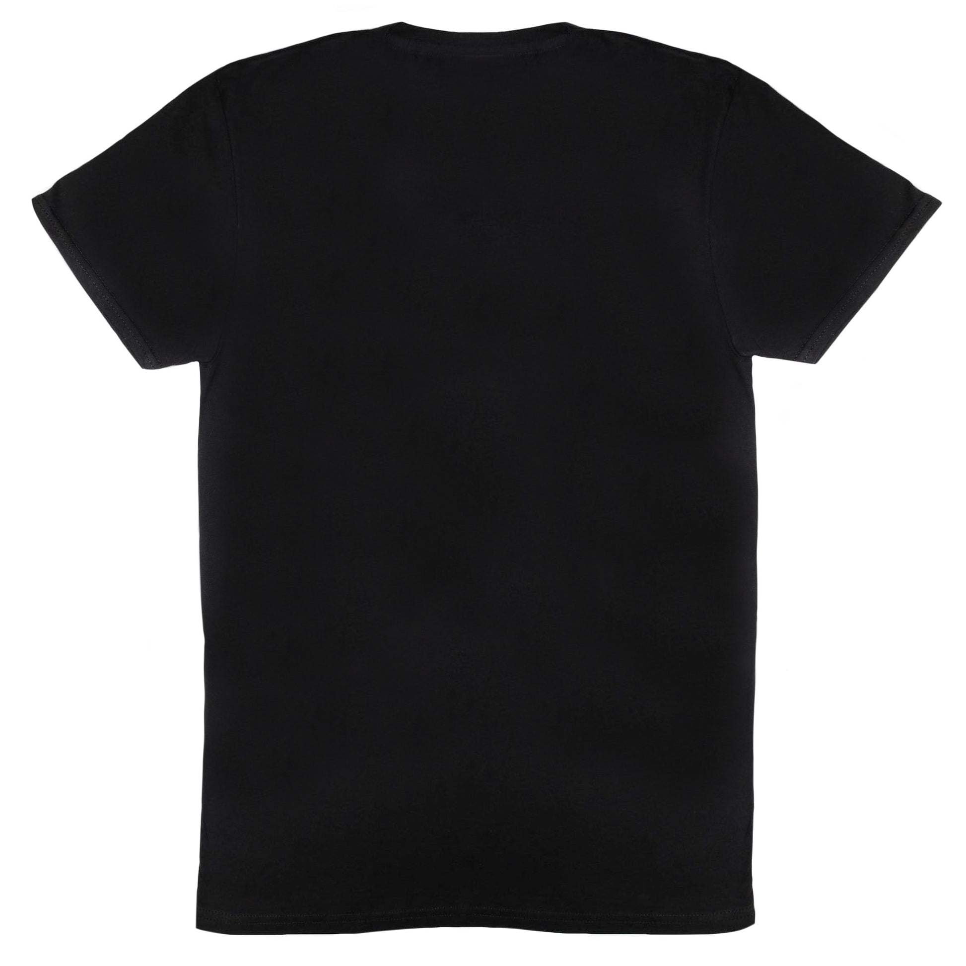 Black - Back - Harry Potter Womens-Ladies Slytherin Quidditch Boyfriend T-Shirt
