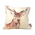 Brown-Cream - Front - Jane Bannon Montgomery Feather Filled Cushion