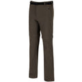 Roasted - Front - Regatta Great Outdoors Mens Xert Stretch Zip Off Trousers II