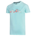 Aruba Blue Mountain - Lifestyle - Dare 2B Childrens-Kids Frenzy Graphic T-Shirt