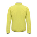 Lime Punch - Back - Regatta Mens Dreamste Full Zip Mini Honeycomb Fleece
