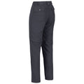 Seal Grey - Back - Regatta Womens-Ladies Chaska II Zip Off Trousers