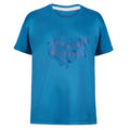 Blue Aster - Front - Regatta Childrens-Kids Alvardo V Graphic T-Shirt