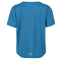 Blue Aster - Back - Regatta Childrens-Kids Alvardo V Graphic T-Shirt