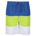 Nautical Blue-Electric Lime - Front - Regatta Boys Shaul III Swim Shorts